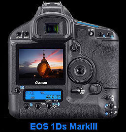 Hans Hendriksen uses EOS1Ds as first spare camera