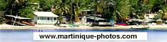 Discover the beautiful island of Martinique through a collection of photos, classified by topics.