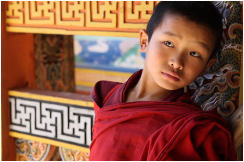 ++++ YOUNG MONK AT PUNAKA DZONG - Click to enter the BRAND NEW BHUTAN FESTIVAL photo gallery ++++