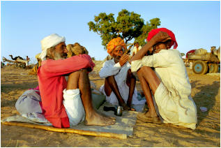 + Click to enter the Pushkar Fair Gallery (64 Photos) +