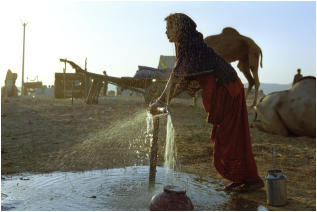 + Click to enter the Pushkar Fair Gallery (76 Photos) +