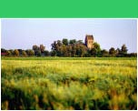 Geesterens landschap - �Hans Hendriksen
